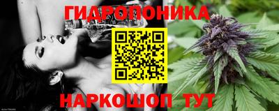 трава Краснокаменск