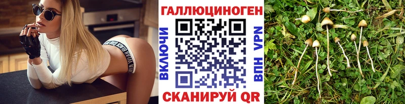 Псилоцибиновые грибы мицелий  купить  сайты  Зеленодольск 